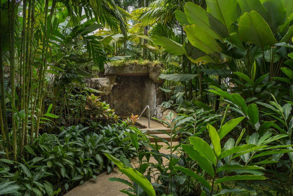 The Royal Corin Thermal Water Spa & Resort - Adults Only La Fortuna Exterior photo